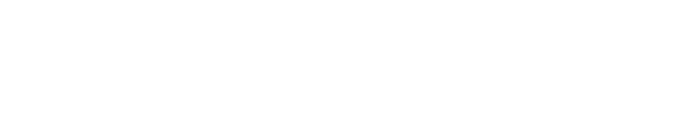 ScouceIT logo